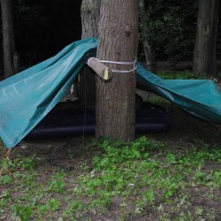 DSC 0190  Small - Scouts en Gidsen Zaventem 